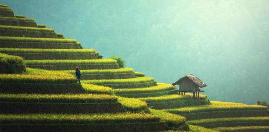 Reforma Agraria